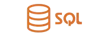 Platform logo