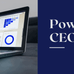 Power BI for CEOs