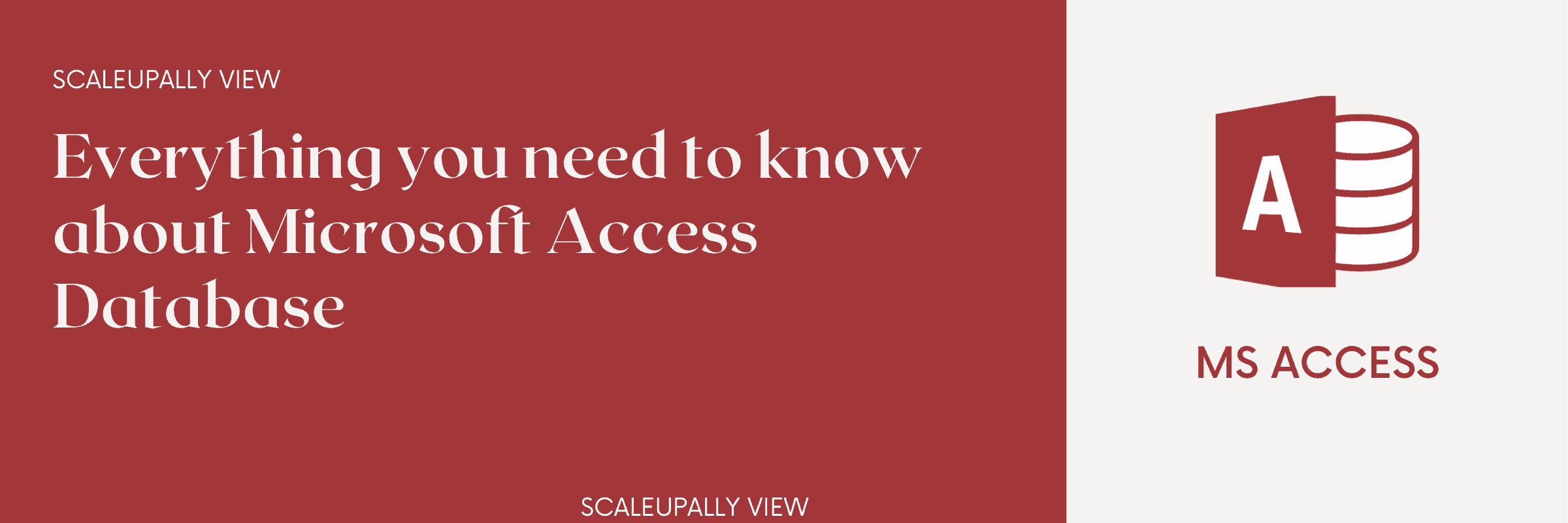 All about Microsoft Access Database you need to know - ScaleupAlly
