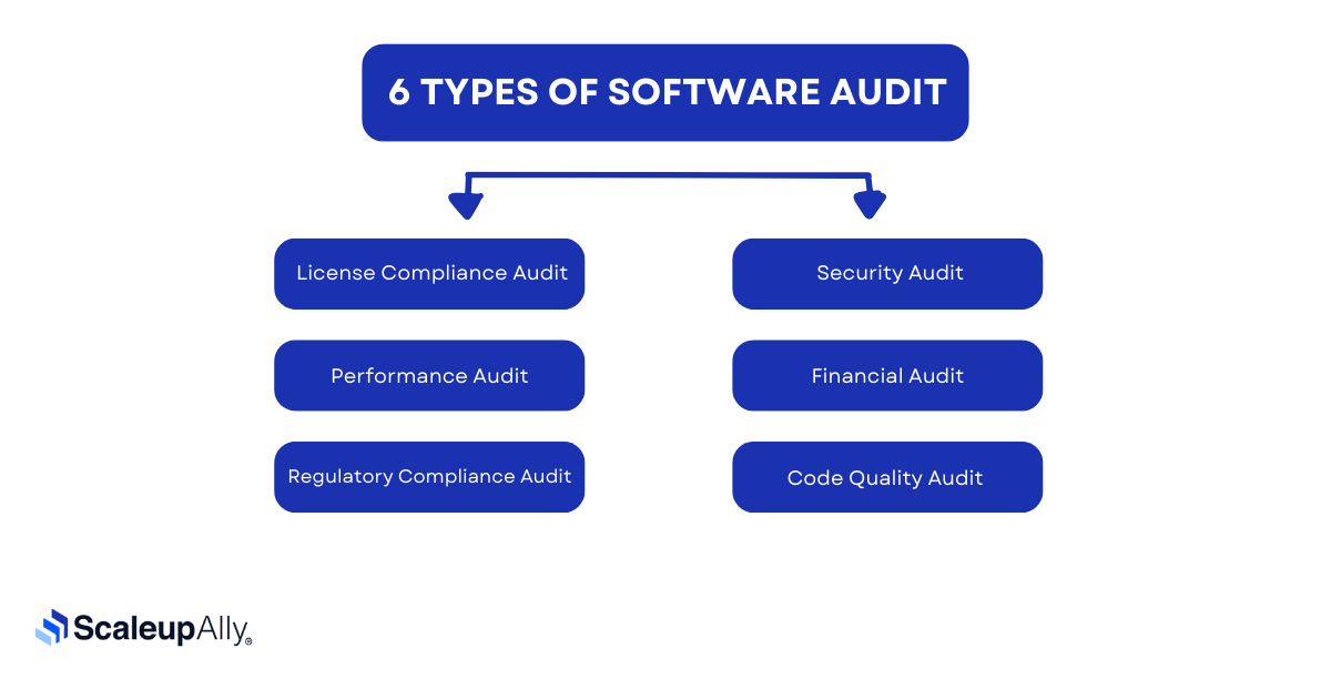 types of software audit